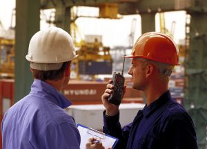 gia cac loai bo dam cam tay 1